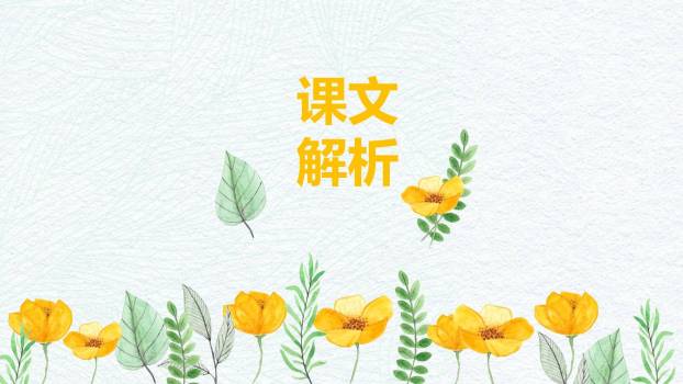 植物妈妈有办法PPT课件85