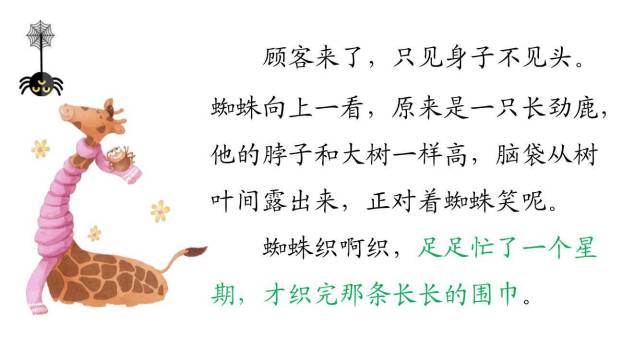 蜘蛛开店PPT课件57