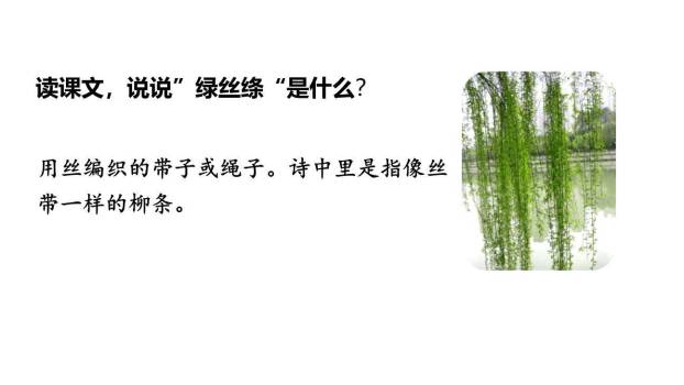 咏柳PPT课件12