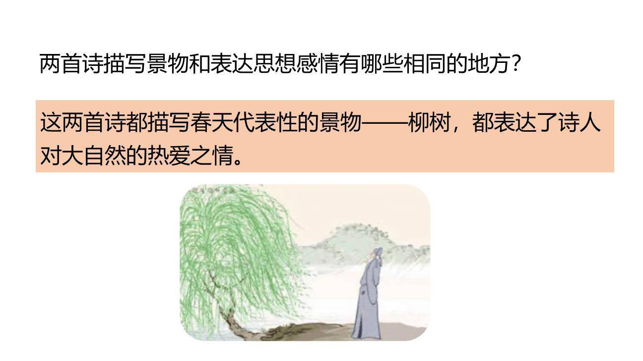 咏柳PPT课件16