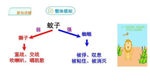 蚊子和狮子PPT课件31