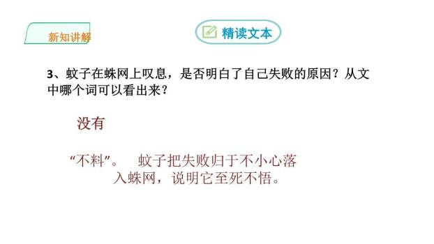 蚊子和狮子PPT课件34