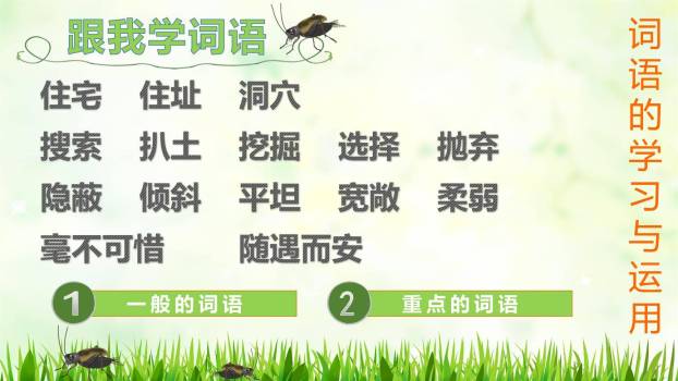蟋蟀的住宅PPT课件45