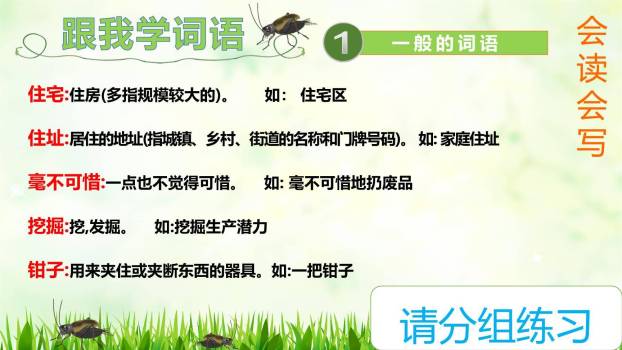 蟋蟀的住宅PPT课件46