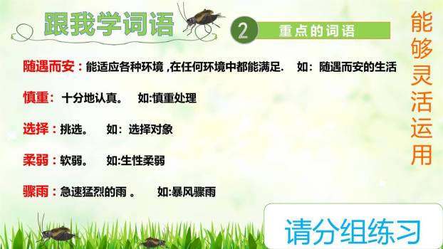 蟋蟀的住宅PPT课件47