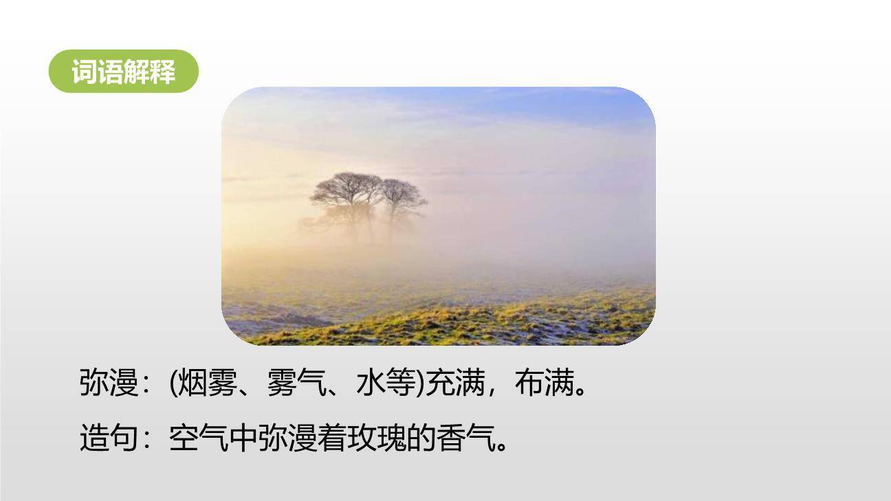 诺曼底号遇难记PPT课件39