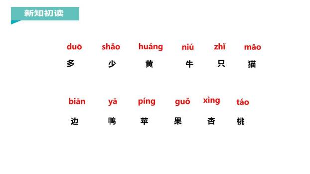 大小多少PPT课件16