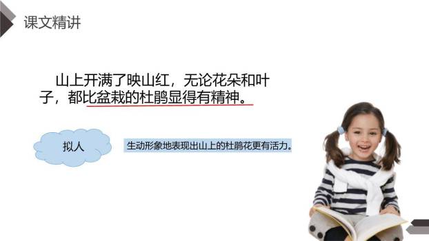 记金华的双龙洞PPT课件19