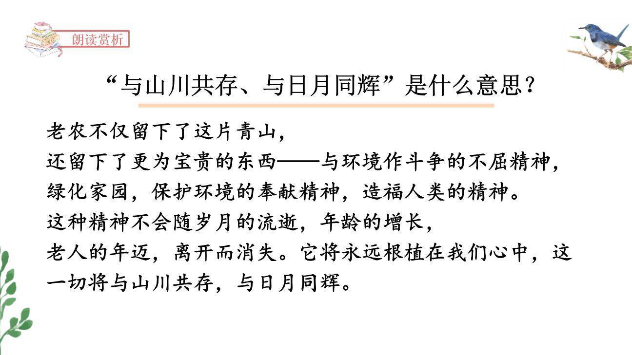 青山不老PPT课件31