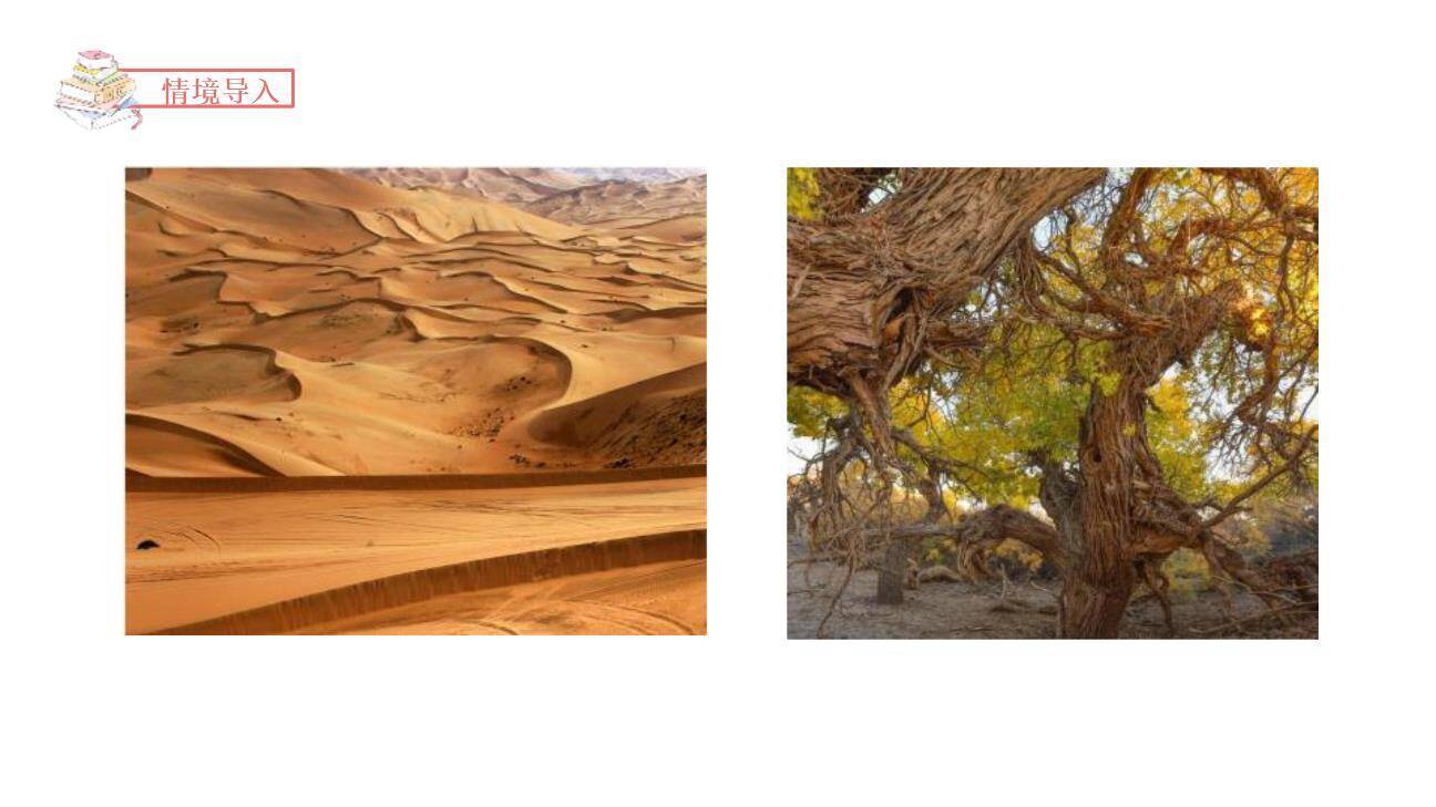 青山不老PPT课件35