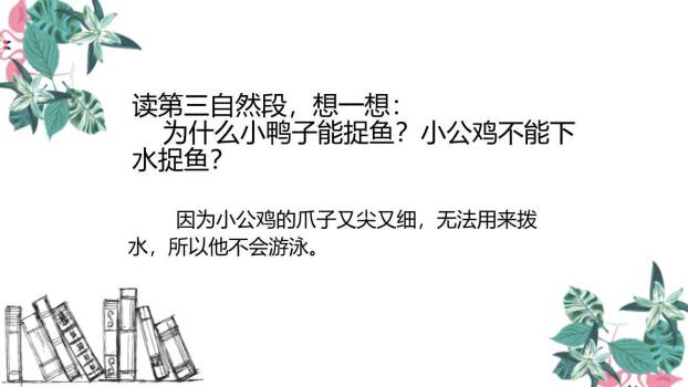 小公鸡和小鸭子PPT课件28