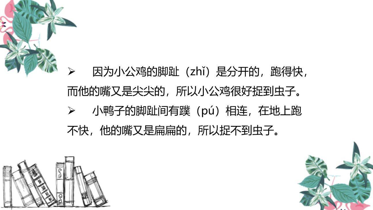 小公鸡和小鸭子PPT课件25