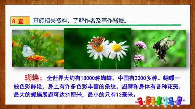 蝴蝶的家PPT课件46