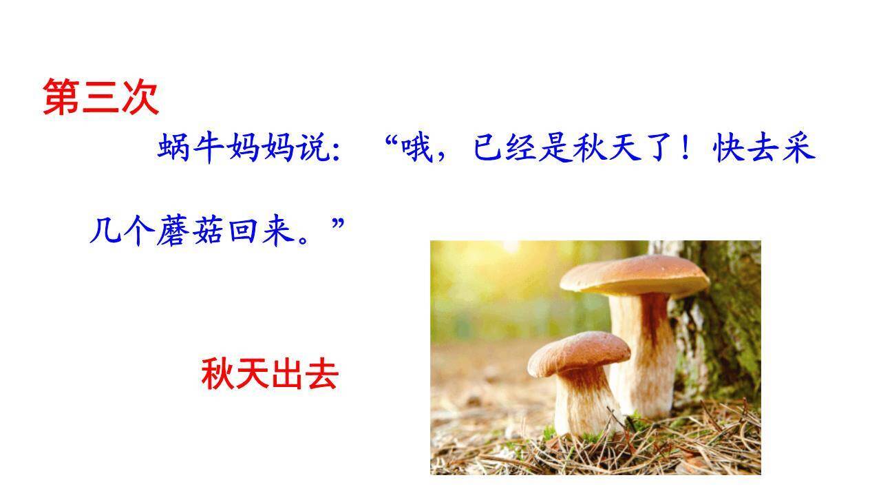 小蜗牛PPT课件12