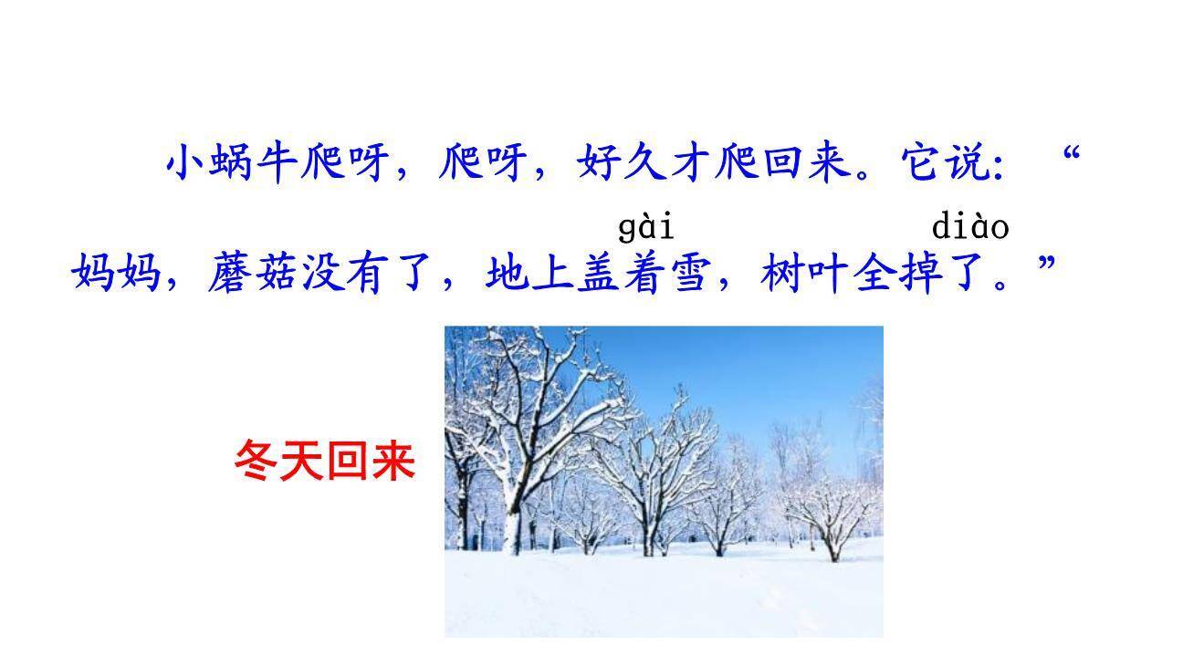 小蜗牛PPT课件13