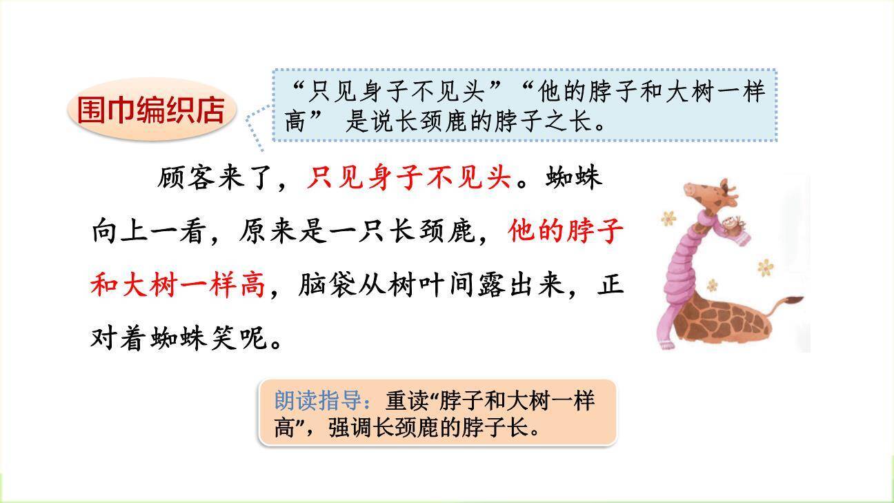 蜘蛛开店PPT课件76