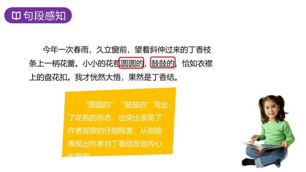 丁香结PPT课件71