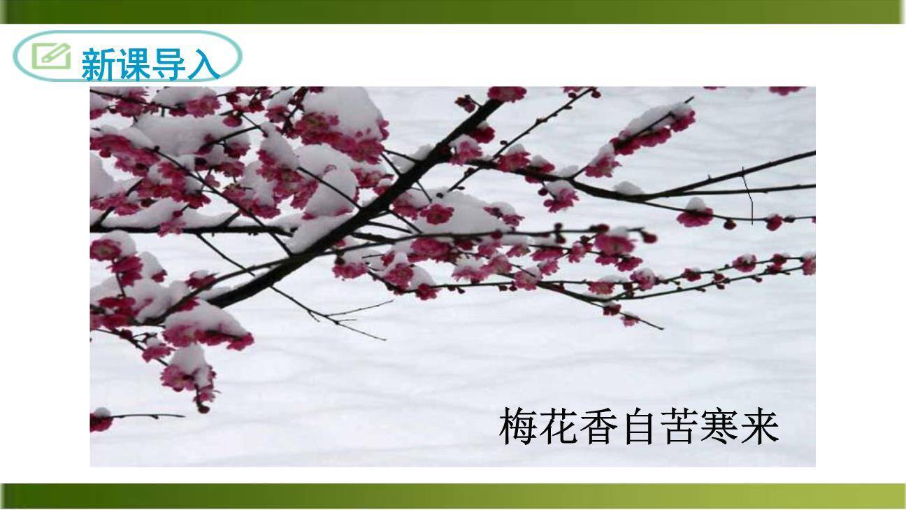 卜算子咏梅PPT课件25