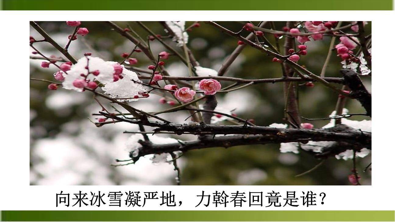 卜算子咏梅PPT课件27