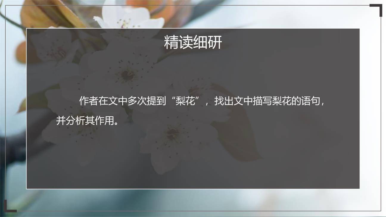 驿路梨花PPT课件68