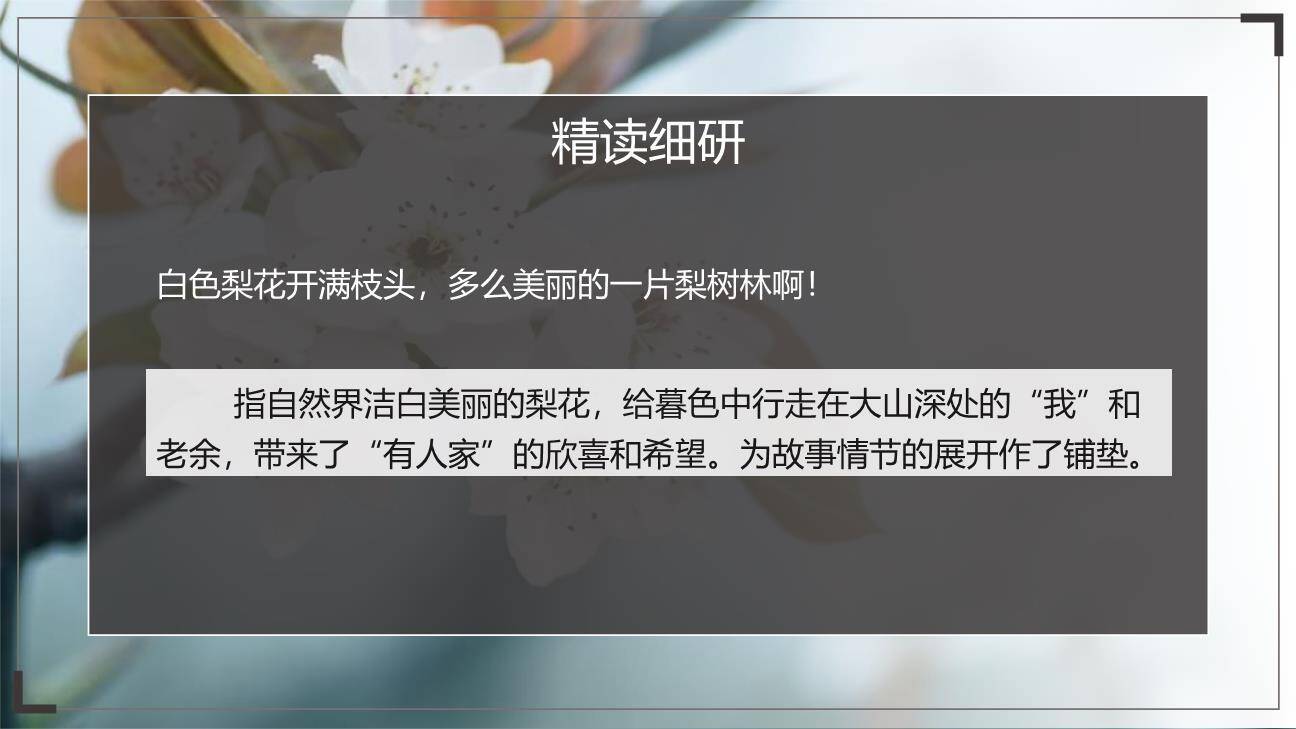 驿路梨花PPT课件69