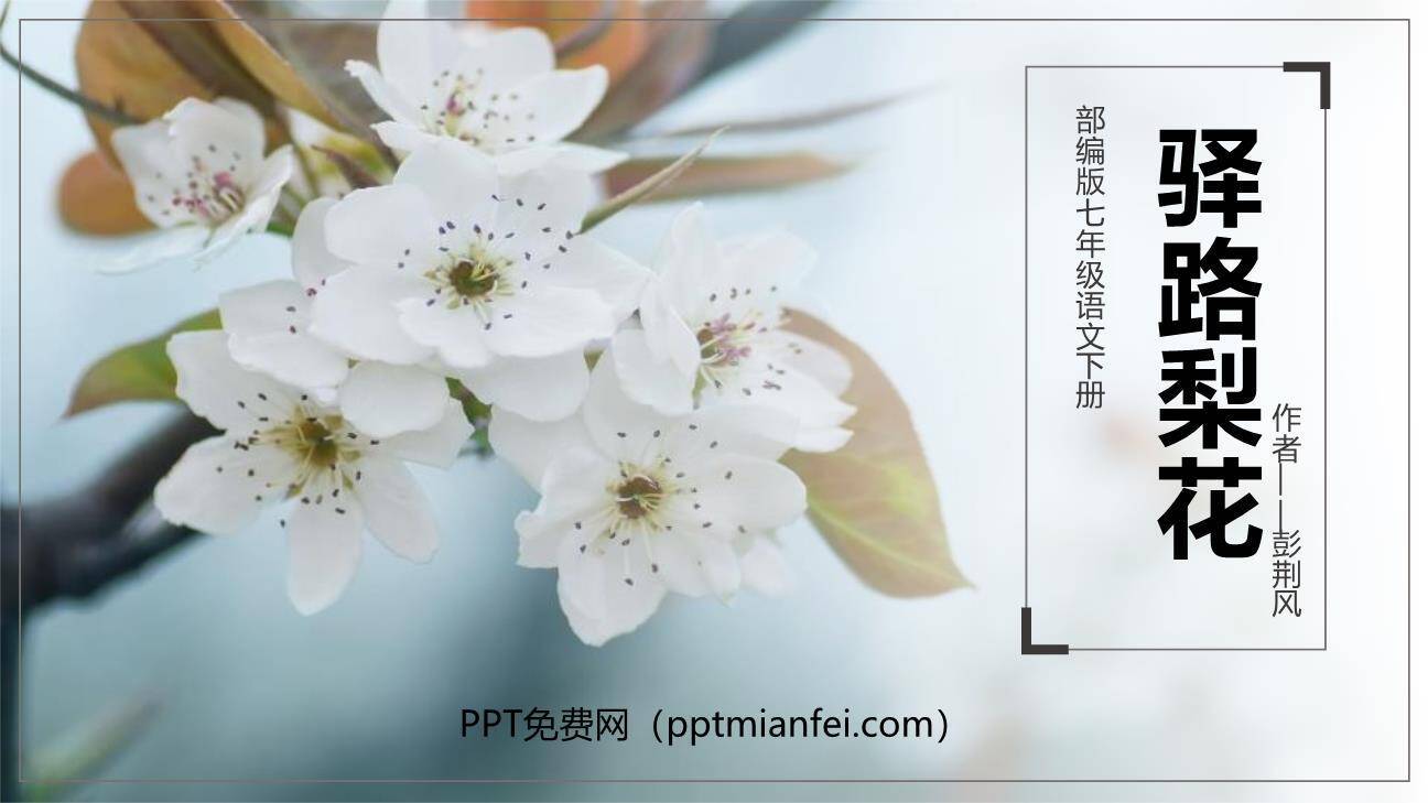 驿路梨花PPT课件60