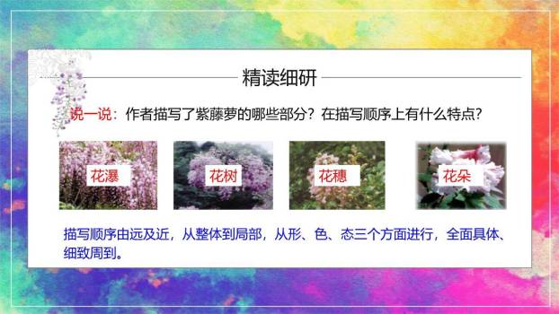 紫藤萝瀑布PPT课件76