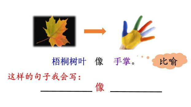树之歌PPT课件31