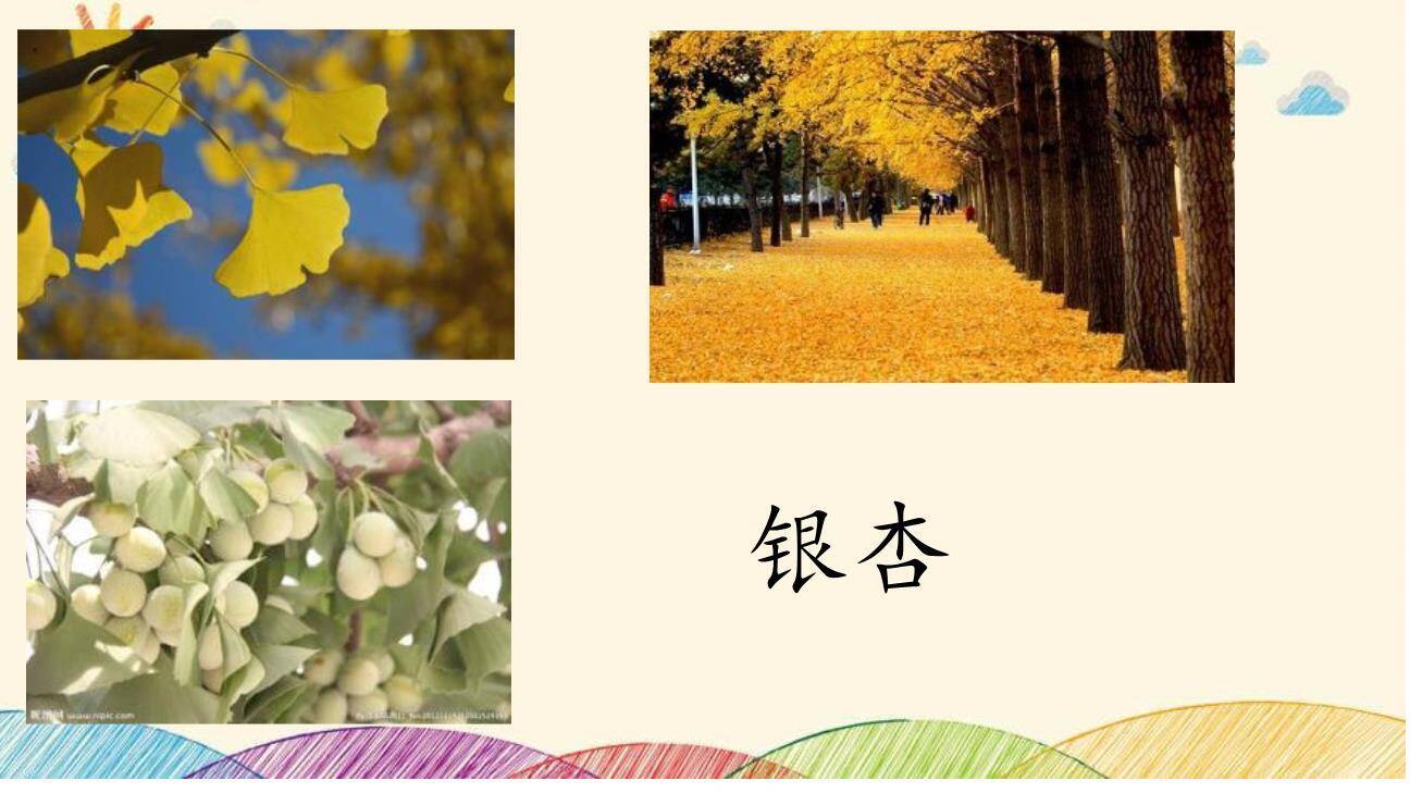 树之歌PPT课件36