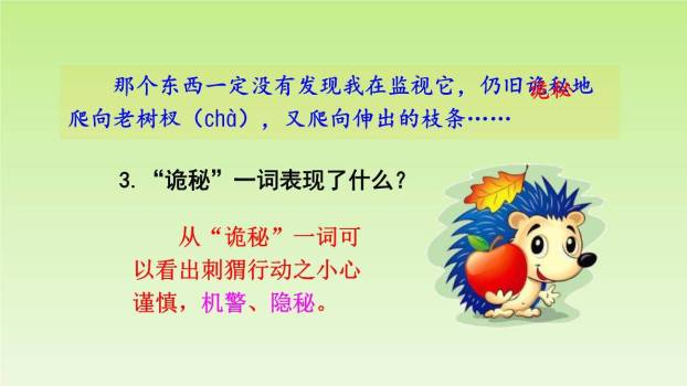 带刺的朋友PPT课件88