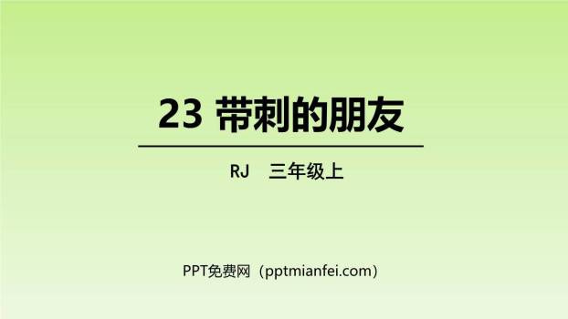 带刺的朋友PPT课件80