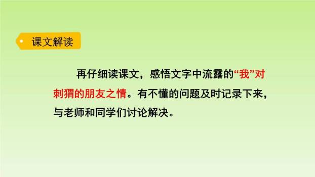 带刺的朋友PPT课件85