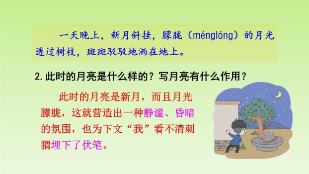 带刺的朋友PPT课件87