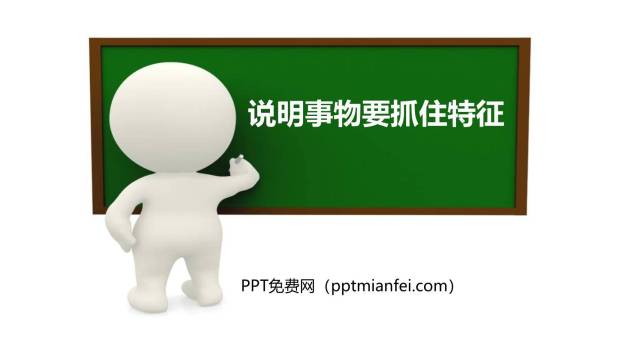 说明事物要抓住特征PPT课件10