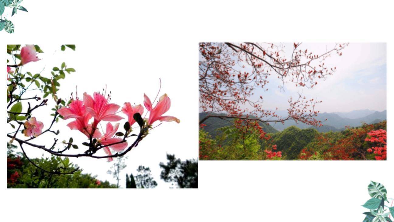 记金华的双龙洞PPT课件25