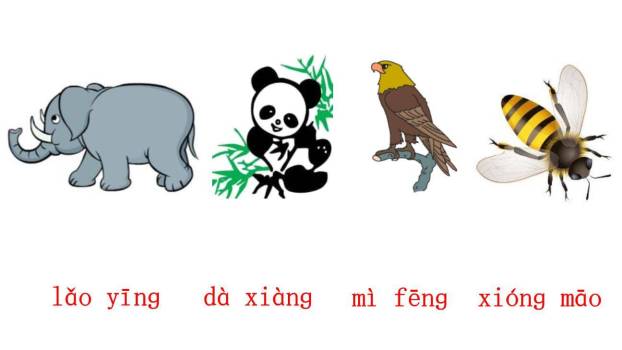 《ang eng ing ong》PPT课件42