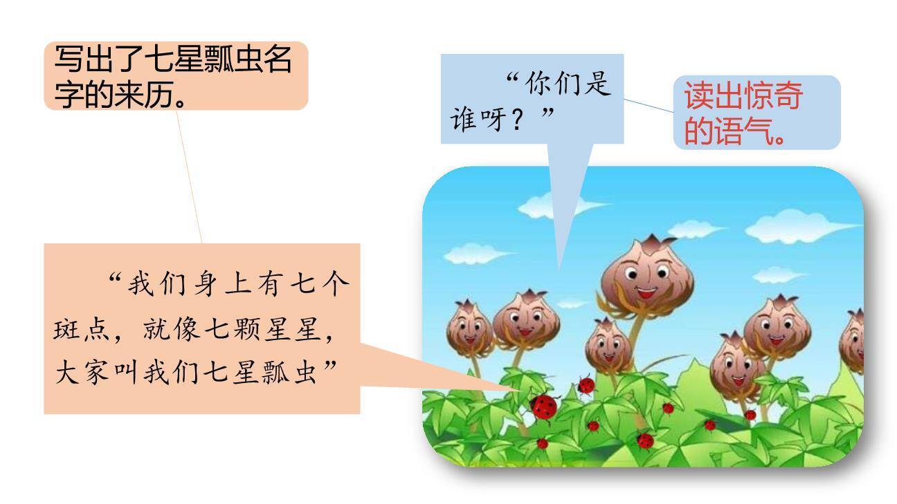 棉花姑娘PPT课件52