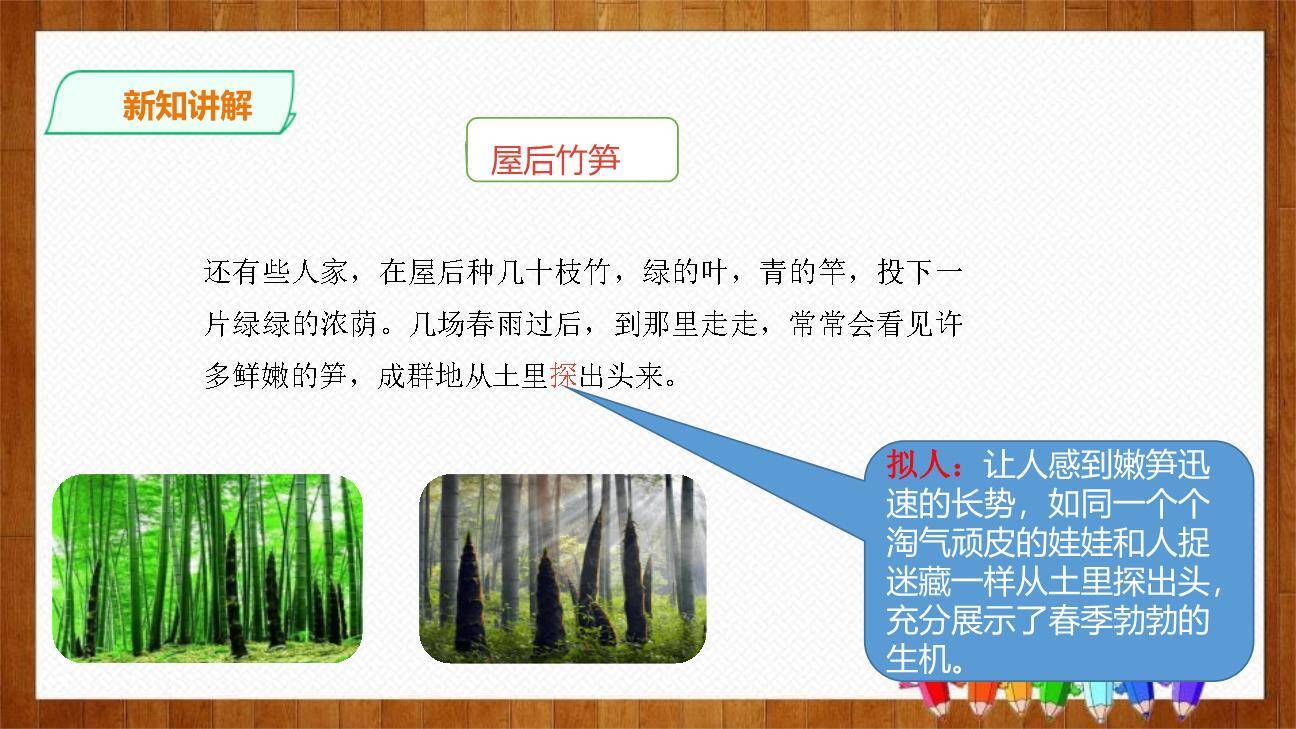 乡下人家PPT课件55