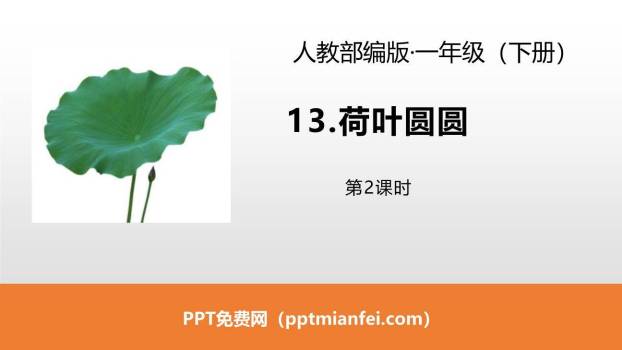 荷叶圆圆PPT课件70