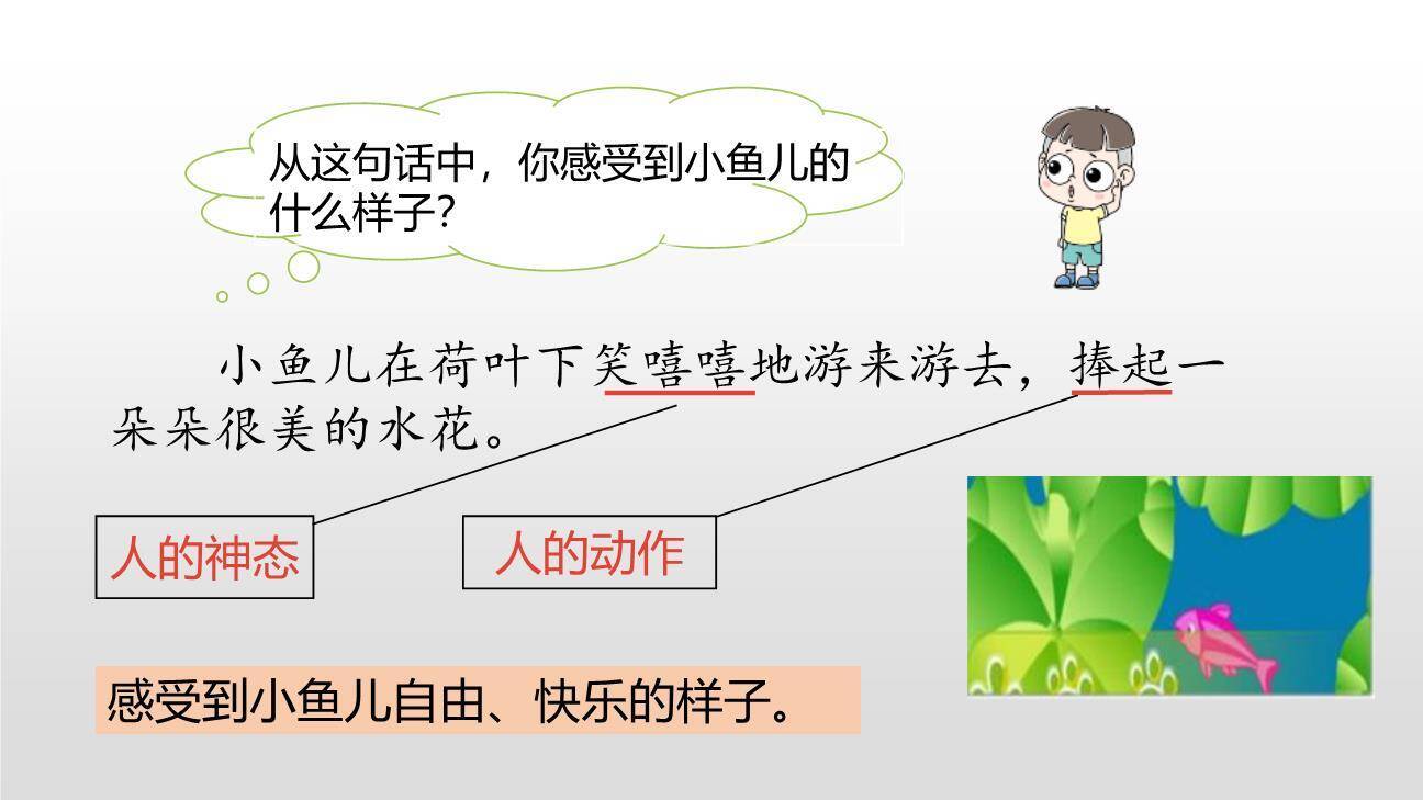 荷叶圆圆PPT课件75