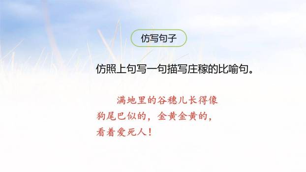 走月亮PPT课件26