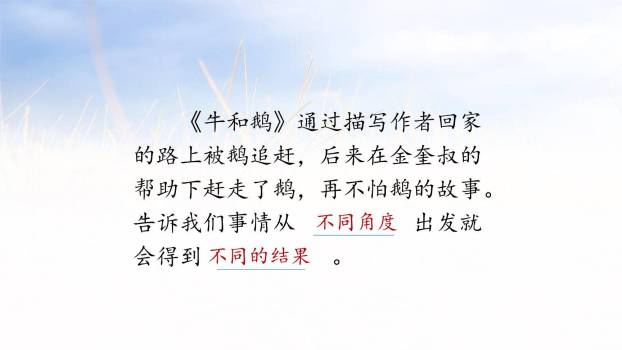 牛和鹅PPT课件26