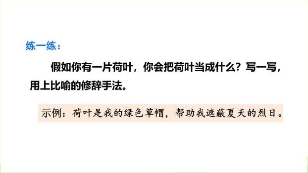 荷叶圆圆PPT课件39