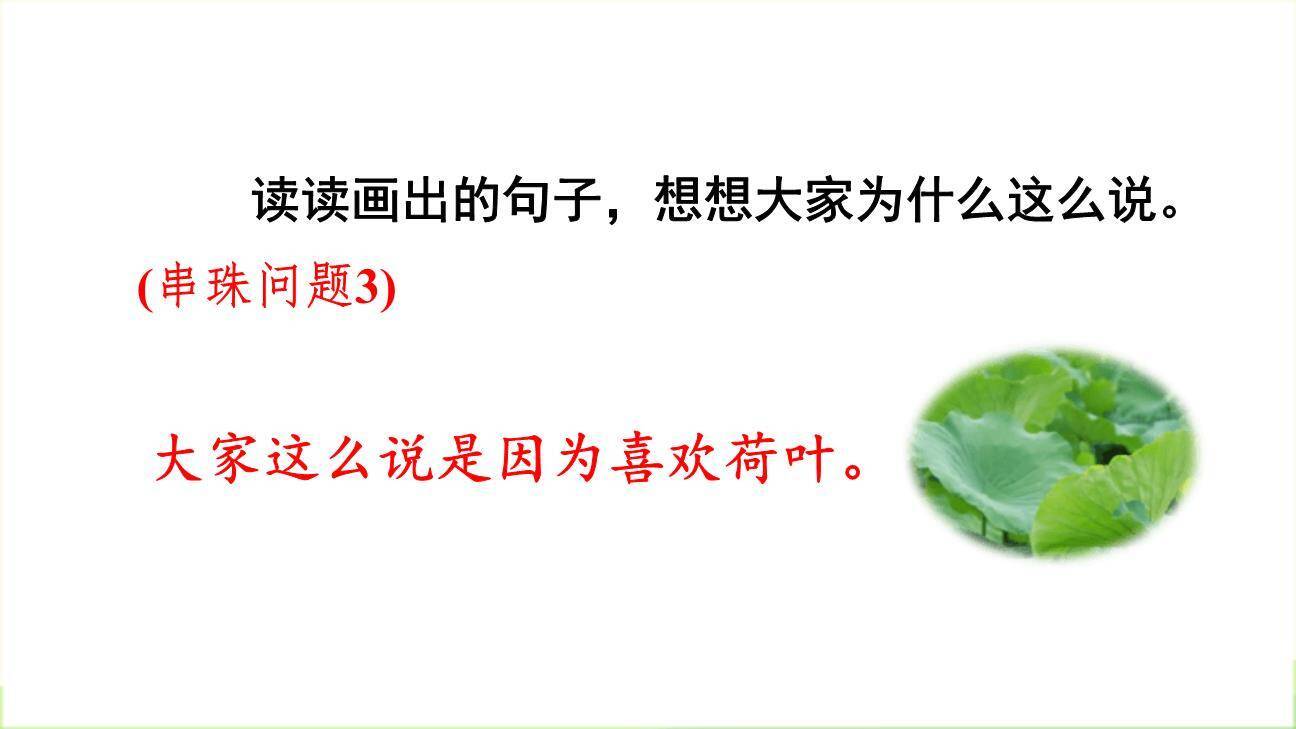 荷叶圆圆PPT课件33