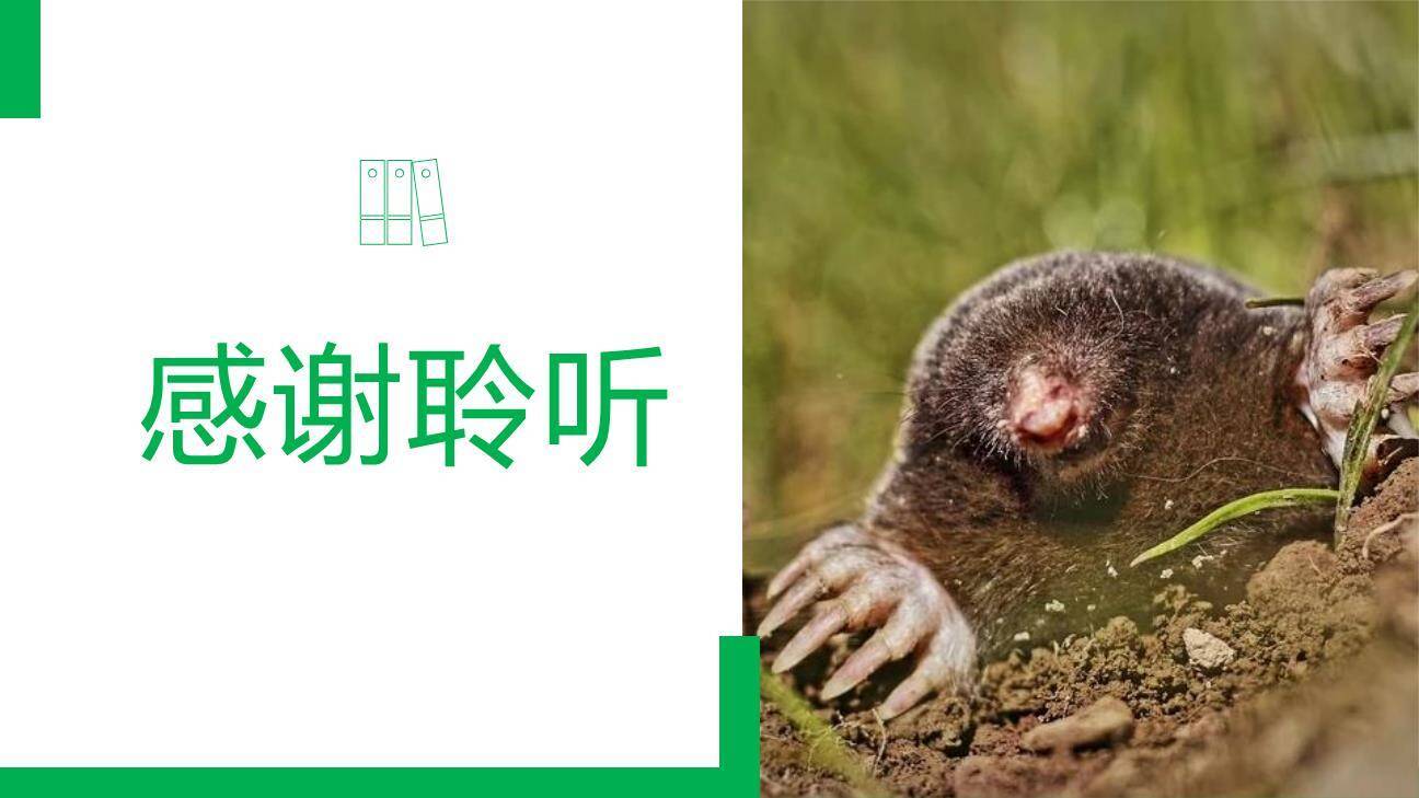 寒号鸟PPT课件43