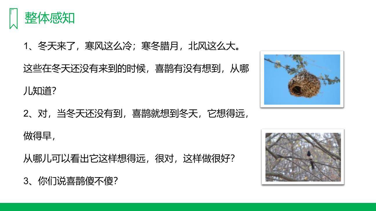 寒号鸟PPT课件47