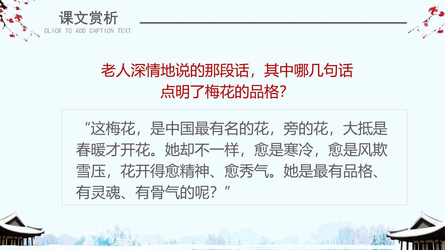 梅花魂PPT课件14