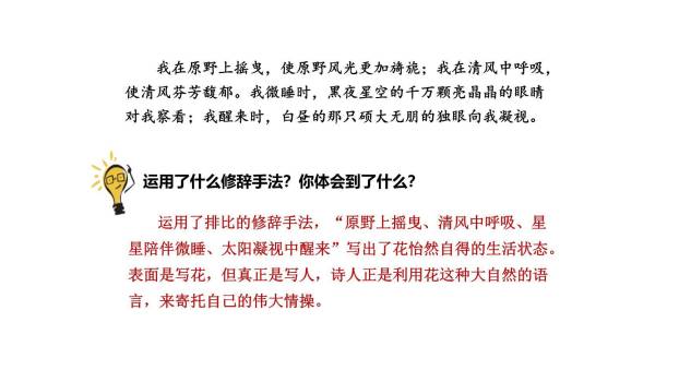 花之歌PPT课件85