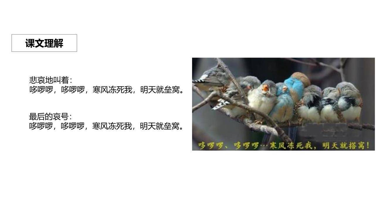 寒号鸟PPT课件51