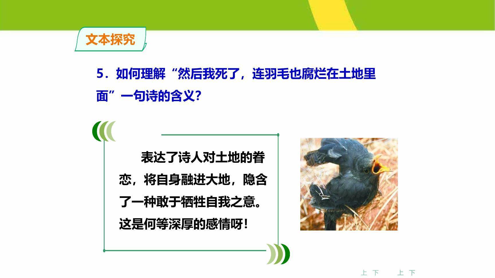 我爱这土地PPT课件45